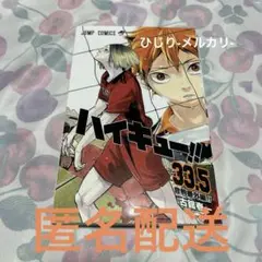 ハイキュー ゴミ捨て場の決戦 特典 33.5巻