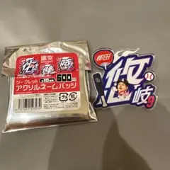 鷹祭柳田選手アクリルネームバッジ