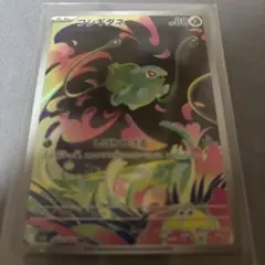 フシギダネ ホロカード レベル80