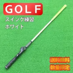 ゴルフ 練習 スイングトレーナー スイング練習器具 クラブ グリップ 修正 白
