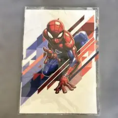 ⭐︎スパイダーマン⭐︎クリアファイル　マーベル　MARVEL 新品