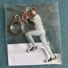 阪神タイガース 2024 全支配下登録選手 アクリルキーホルダー 才木浩人