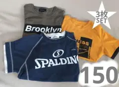 SPALDING Tシャツ 3枚セット