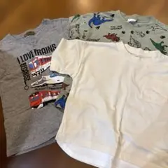 電車、恐竜、白Tシャツ3枚セット 110cm、120cm