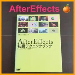 2025年最新】After Effects 初級テクニックブックの人気アイテム