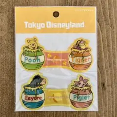 レア　東京ディズニーランド クリップマグネット