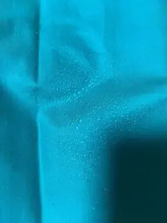 Item thumbnail for item 8e858807-ae72-4606-8bb5-c72494f4796c