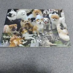 希少❗️ 中山みどり フェルトアート集 ほっころび時間 羊毛フェルト 作品集
