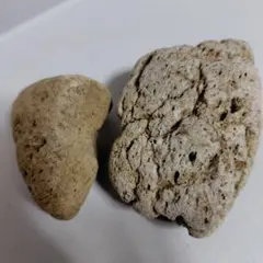 大きな軽石です。