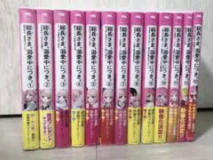 総長さま、溺愛中につき。 1〜12全巻＋11.5巻 13冊セット