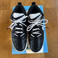 Nike エアセッシュ