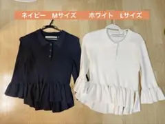 Item thumbnail for item 0a823ca3-fd01-480e-a1b0-49af1d33f603