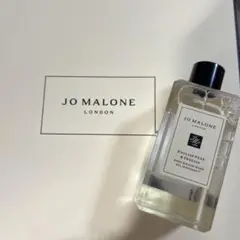 Item thumbnail for item 2fceddf5-77e8-49c4-aeeb-8ba1a7731413