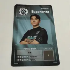 VCJ NFX Esperanza プレイヤーカード