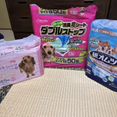 Item thumbnail for item f04b5b5a-9ec3-48e7-b554-a81c76965e45