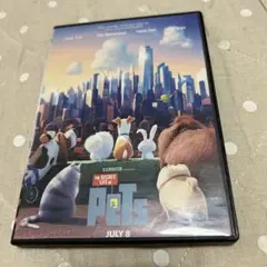 CD