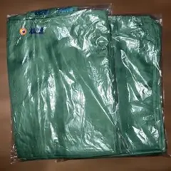 Item thumbnail for item 1624c965-9e50-4827-a715-7892b2c13f67