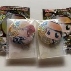 彩光キラキラカンバッジコレクション 家庭教師ヒットマンREBORN！