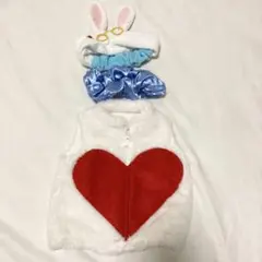 Item thumbnail for item f9c49f13-0963-4ecd-8fe1-d49e3ad45d23