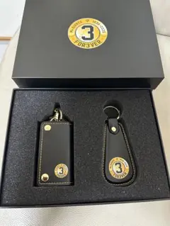 Item thumbnail for item 293d3b84-608a-4ad2-8bbd-699649ee0d48