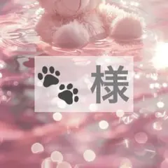 専