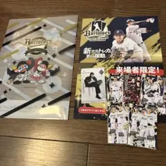 オリックスバファローズ 2025ミニスケジュール表 &球場チラシ&クリアファイル