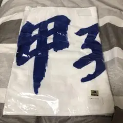未使用♪甲子園スポーツタオル　新品★高校野球公認グッズ