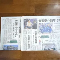 青藍泰斗サヨナラ負け新聞　地元紙 下野新聞　8月10日朝刊　青藍泰斗