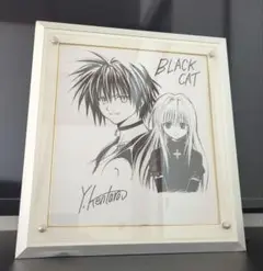 【超貴重】漫画「BLACK CAT」 矢吹健太朗先生 サイン入り扇子 08618362873065315501.jpg