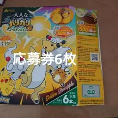 懸賞応募 ポケモン　ガリガリ君　ワンタッチテント　応募券　5枚