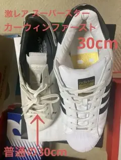 激レアなカーウィンファーストのスーパースター30cm箱無し