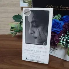 BECAUSE I LOVE YOU / STEVIE B