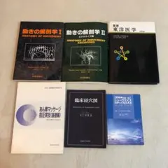 図解　東洋医学　基礎編　はやし浩司 美品 図説 東洋医学 基礎編 はやし浩司 代田文彦