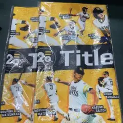 福岡ソフトバンクホークス タイトルホルダー 20周年記念 タオル　2枚セット