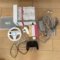 Wii本体とゲームソフト14本セット