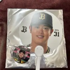 オリックスバファローズ 太田椋
