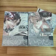 イヤって言ってもきかないで 上下 アニメイト 小冊子 特典付き