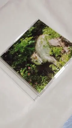 極珍獣-野性白鹿の写真CD-CASE〜1枚仕様〜 1枚セット