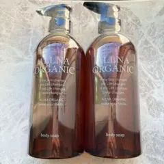 Item thumbnail for item a124b719-e00b-4481-938f-8869a69757fc