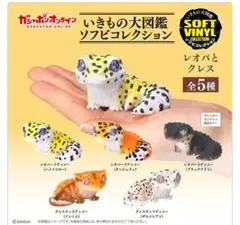 Item thumbnail for item 60e4fbc0-3e0c-4539-afe0-69a06a648167