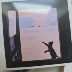 279ー黒猫ペイントバイナンバー　数字絵　ぬり絵　絵の具