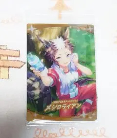 メジロライアン　（サポート）未開封品1枚