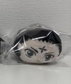 Item thumbnail for item 217c5a08-bfd1-47a3-9ca9-c32ecc026229