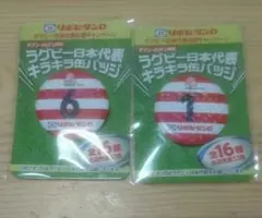ラグビー日本代表 キラキラ缶バッジ×2