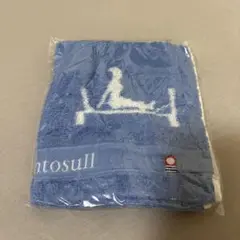 【新品未開封】Rintosull リントスル オリジナル今治ハンドタオル