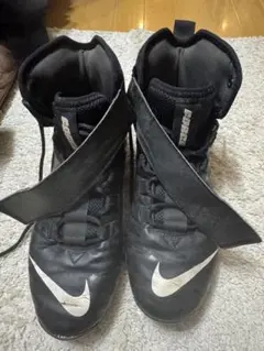 Item thumbnail for item cc725b3a-7f23-4ee7-8ba0-e94b1c6f1fc6