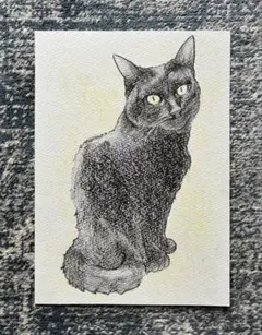 猫の絵 色鉛筆画　手描き原画　2Lサイズ