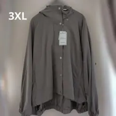 Item thumbnail for item 4746f366-3a32-4ecf-a444-ff5611718177