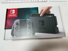 中古 Nintendo Switch グレー 付属品完備 SDカード等おまけ付き