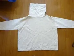 Item thumbnail for item 6acef783-4569-46f4-b0c2-98079bdbf436